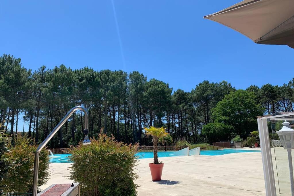 Appartement T2 1Chambre 4-5 Personnes - Lacanau - Piscine - Vue Sur Le Golf Kültér fotó